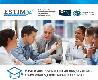Master Marketing Stratégies Commerciales, Communication et Conseil