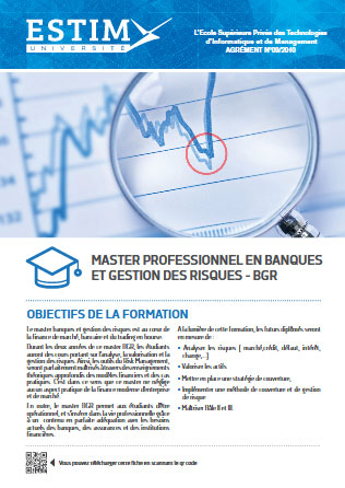 Master en banque et gestion des risques