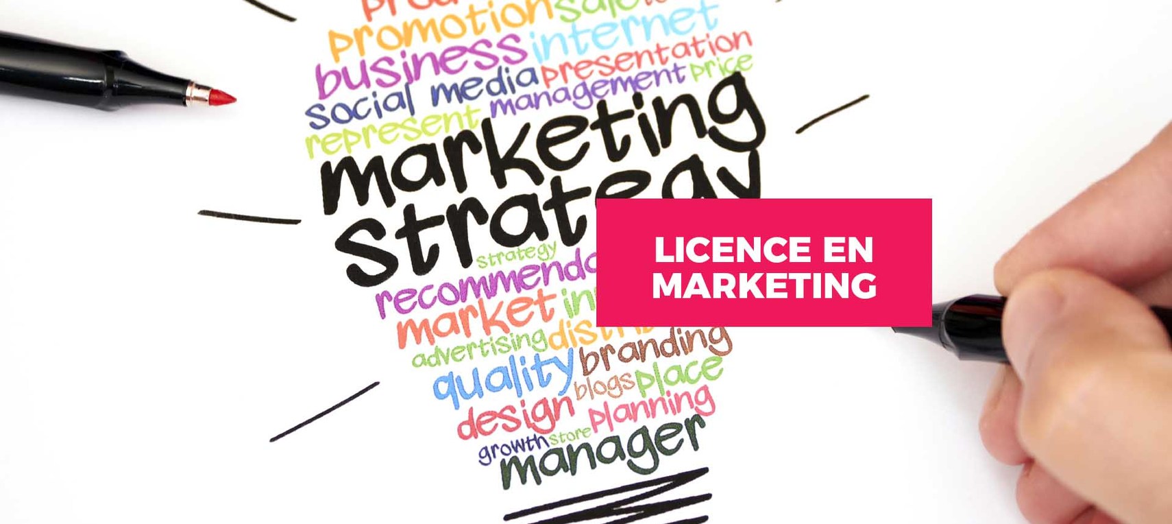 Licence en marketing