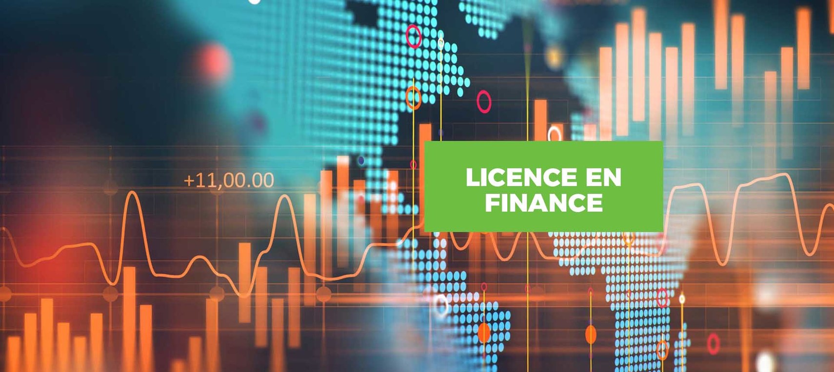 Licence en Finance