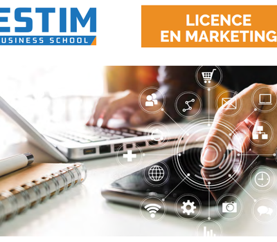 Licence en Marketing
